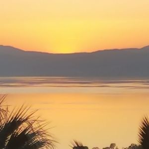 Meet your Posher, Ben